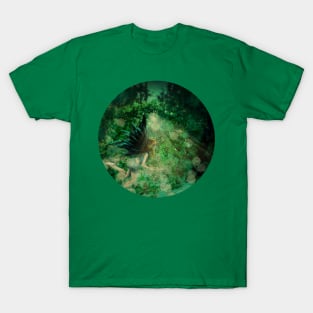 Fairy in the forest T-Shirt